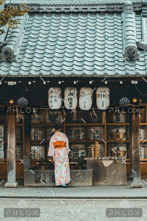 demo-attachment-50-redd-angelo-370362-unsplash